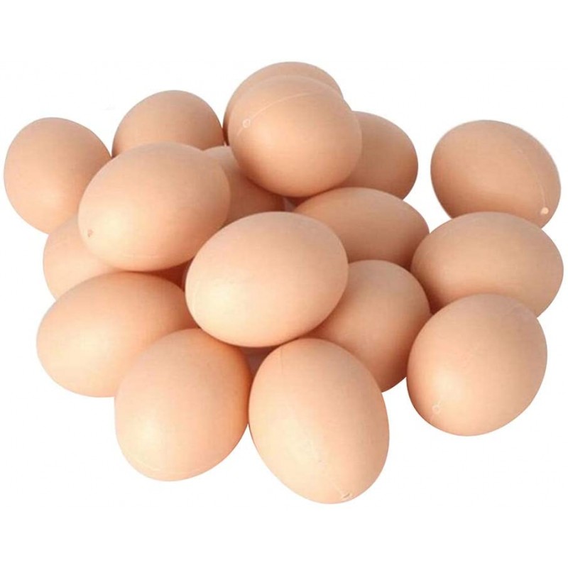 Chicken Dummy eggs