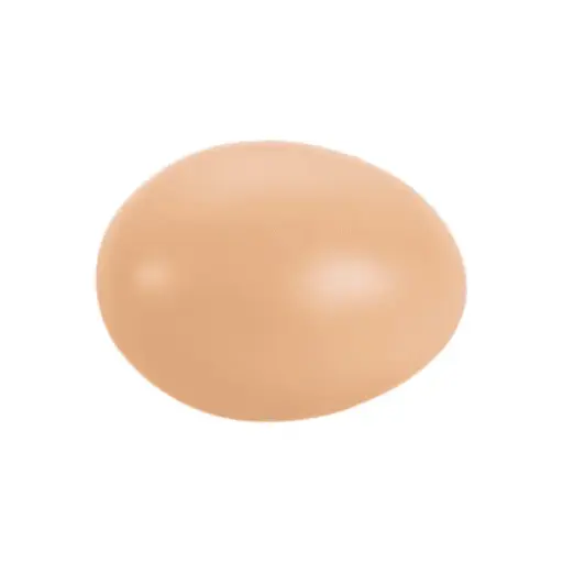 Dummy Egg-Hen